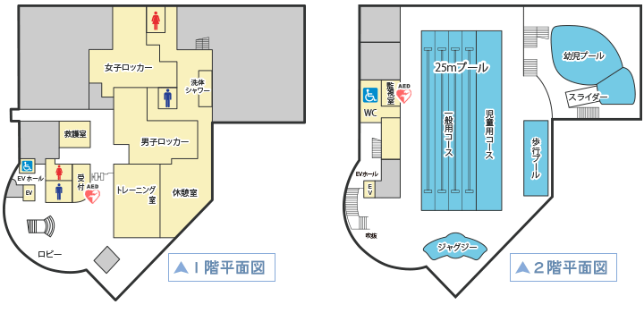 プール配置図